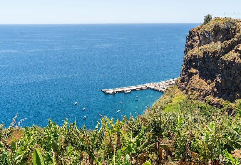 膳宿费 Sonho Do Oceano