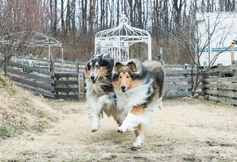 پانسیون Tabist Kiyosato Grandeur Yatsugatake