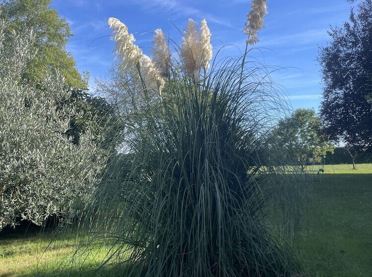 펜션 Villa Cassandre