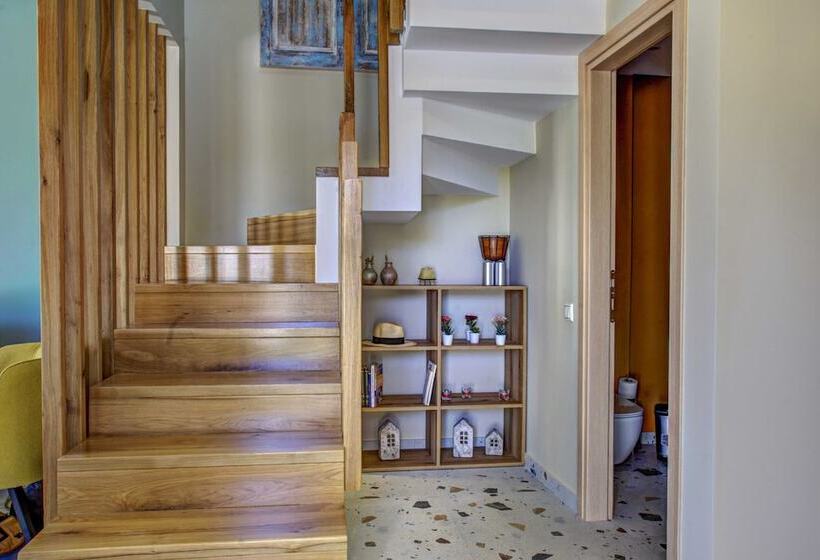 渡假胜地  Tessera Villas Collection