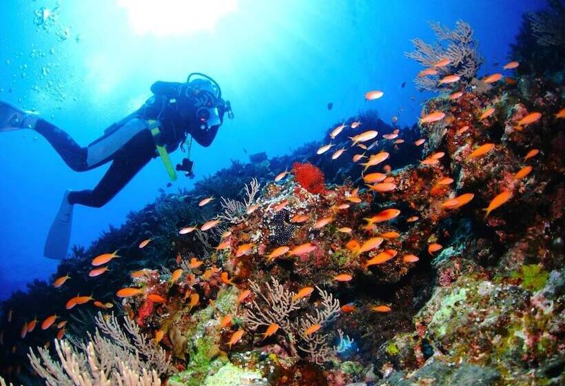 Sumio No Kiiyama Dormitory Women Only – Hostel