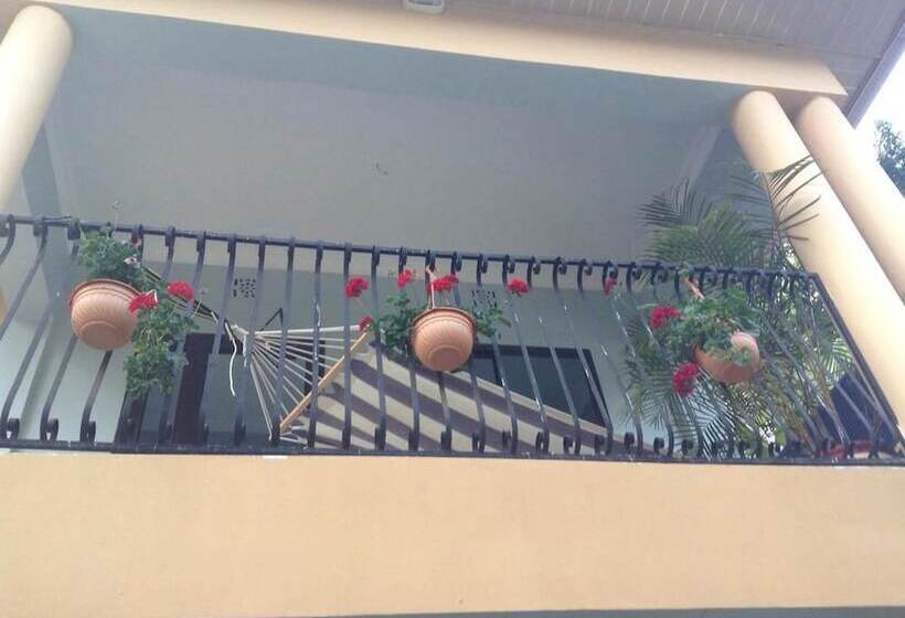 Bed and Breakfast Papagei Home