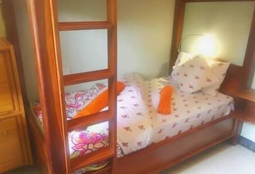 Bed and Breakfast Papagei Home