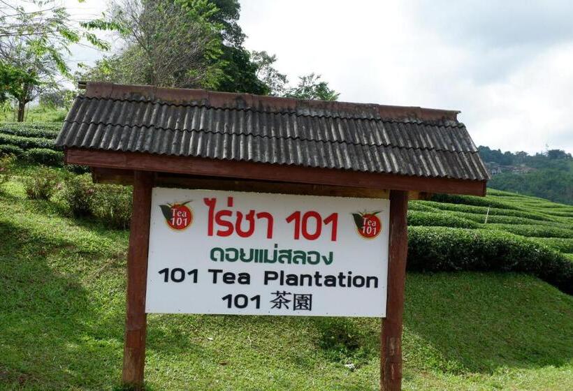 Отель Ama Maesalong