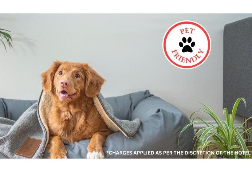 فندق Cheyenne Wells By Oyo Rooms