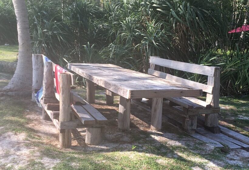 בית מלון כפרי Greenhouse Ecolodge