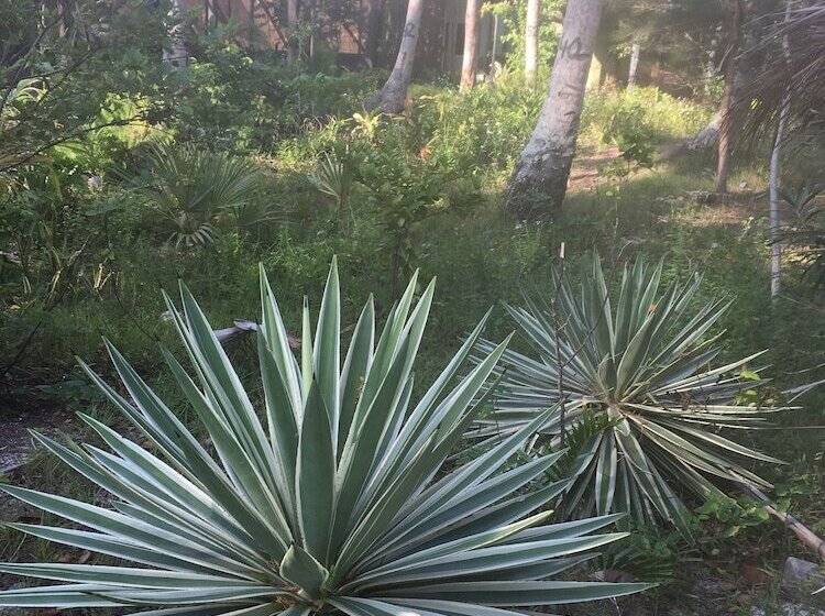 فندق Greenhouse Ecolodge