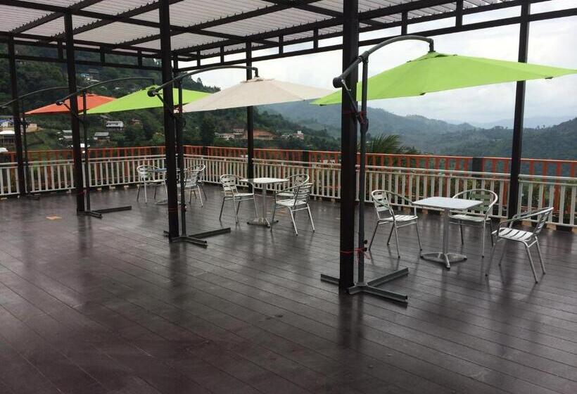 酒店 My Place Mae Salong