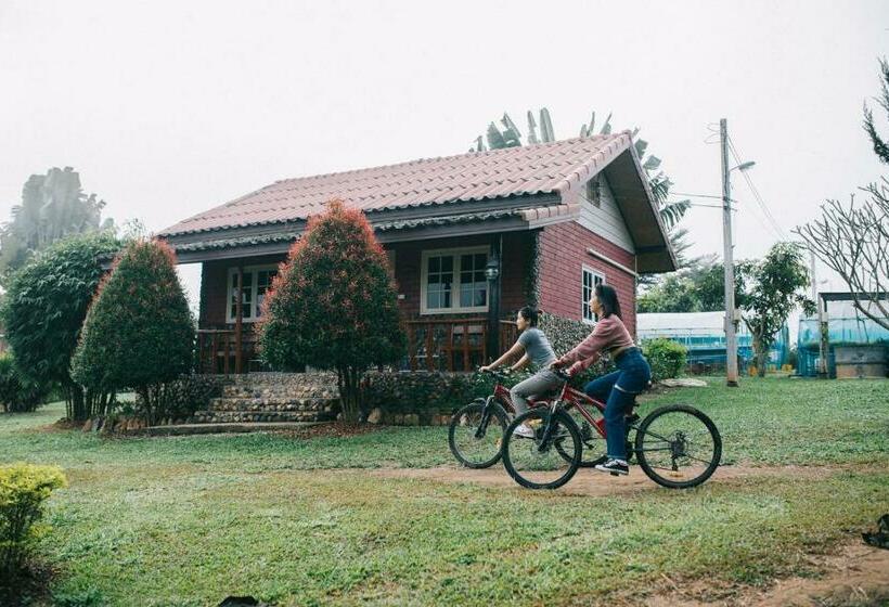 Отель Phoomtada Homestay