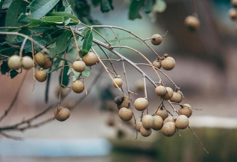 Отель Phoomtada Homestay