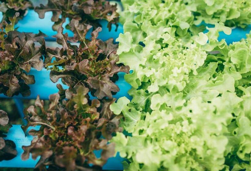 Отель Phoomtada Homestay