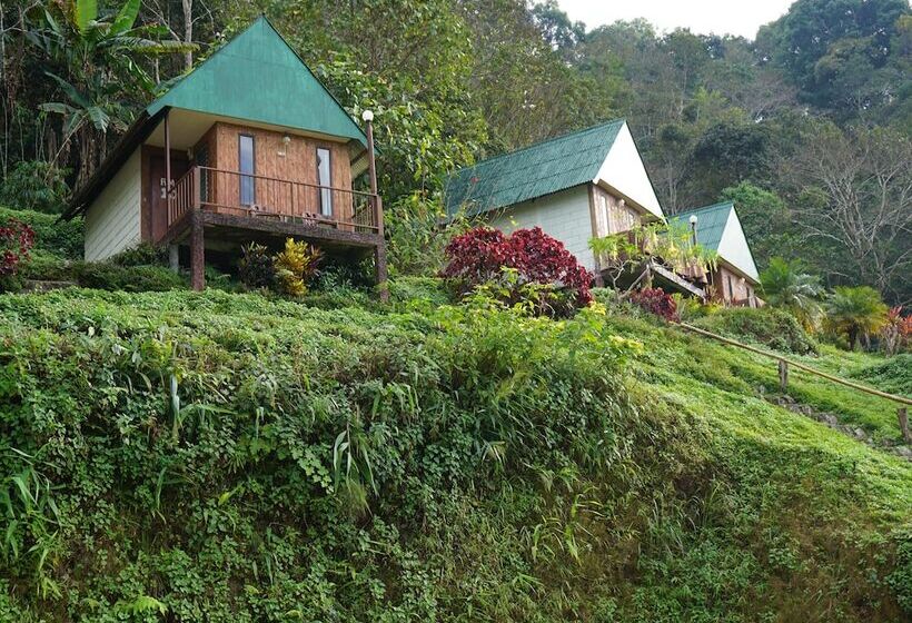 호텔 Phumork Camp Phu Chi Fa