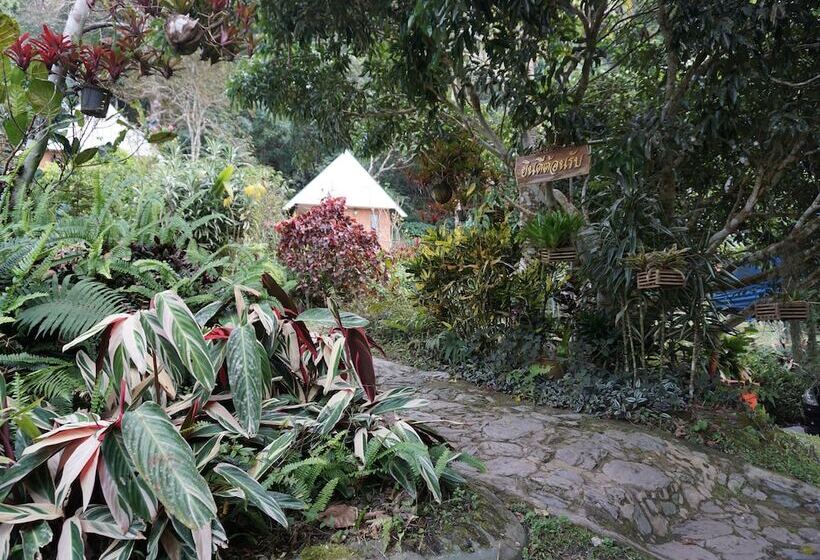 호텔 Phumork Camp Phu Chi Fa