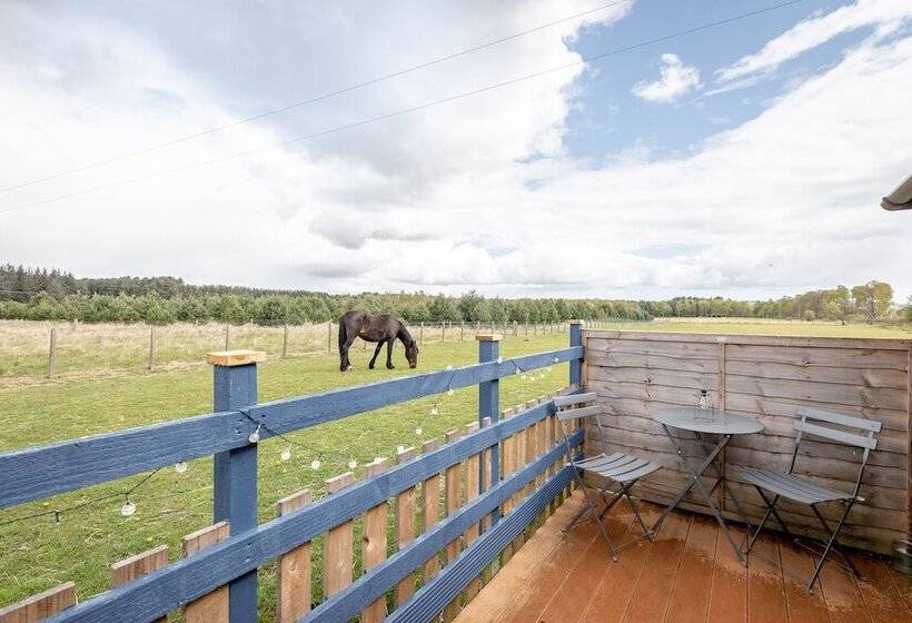 בית מלון כפרי Redlands Country Lodge Log Cabin Apartments & Weebothy