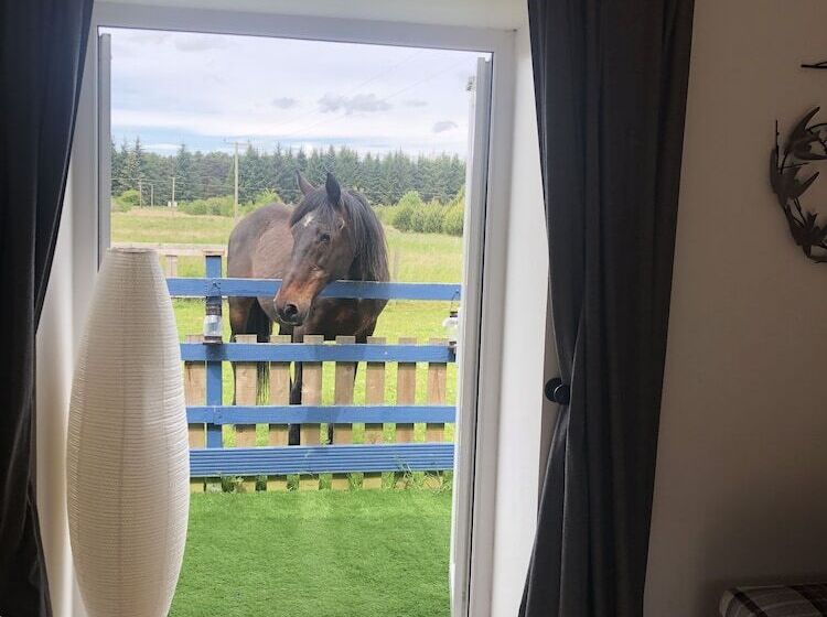 בית מלון כפרי Redlands Country Lodge Log Cabin Apartments & Weebothy