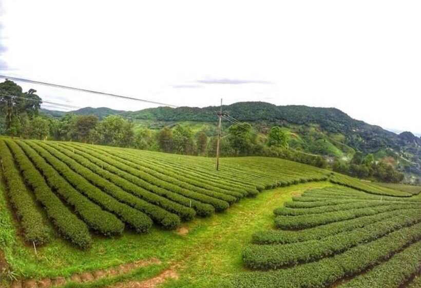 호텔 Shin Sane Guest House