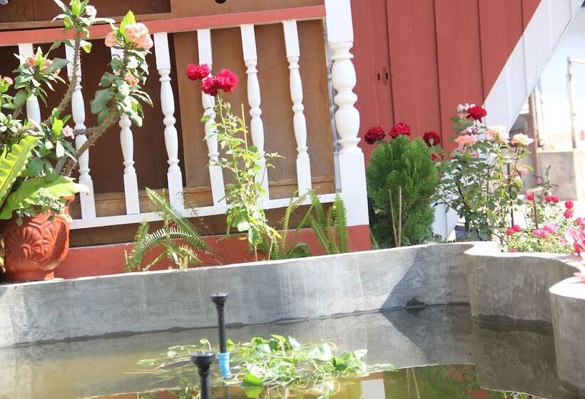 호텔 Shin Sane Guest House