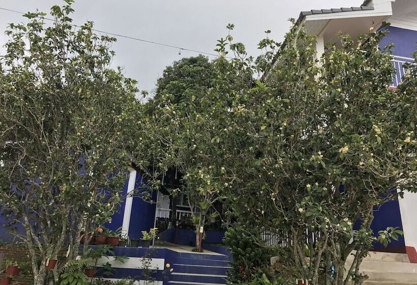 호텔 Shin Sane Guest House