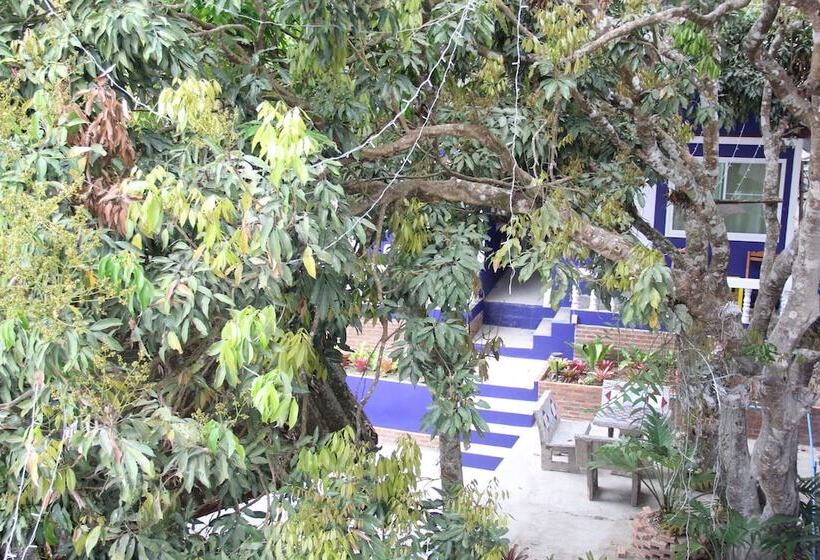 호텔 Shin Sane Guest House