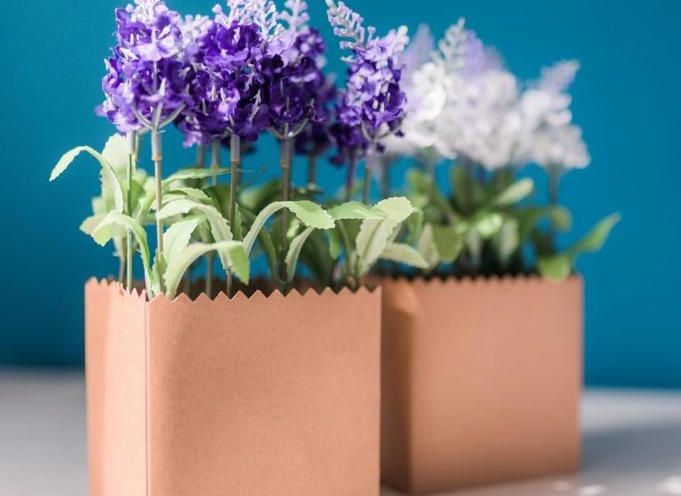 فندق صغير Carducci Bistrot