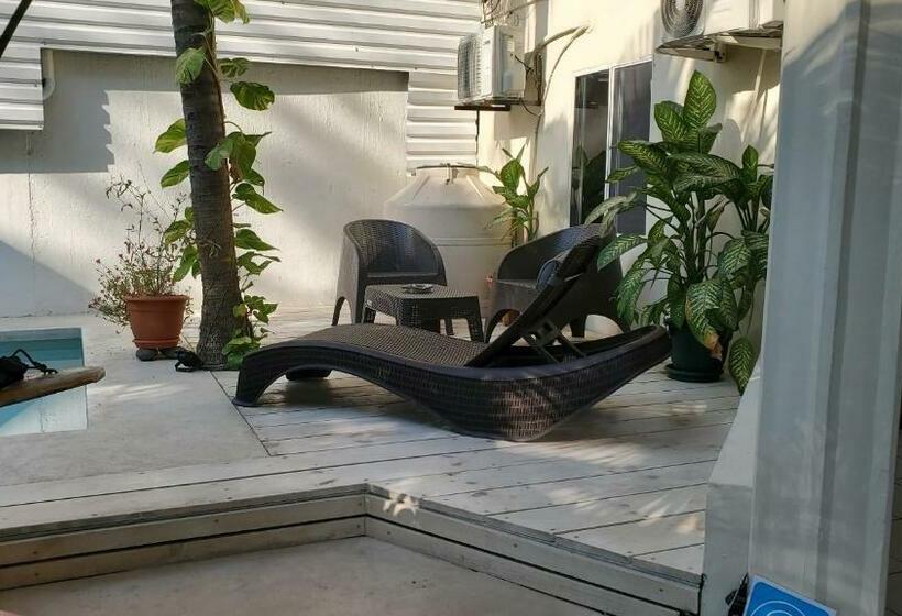 فندق صغير Layback Surf