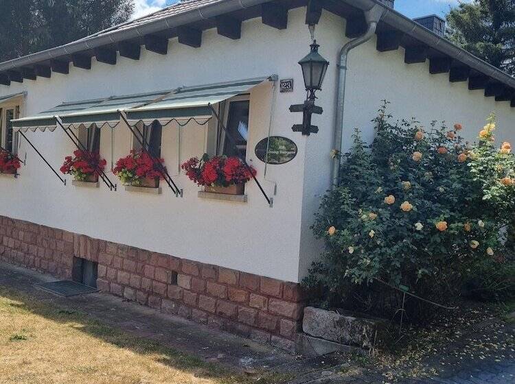 B&b Dressings Traumgarten