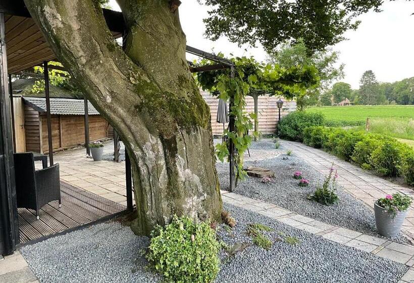 B&b Usselo Klein, Fijn En Uniek!