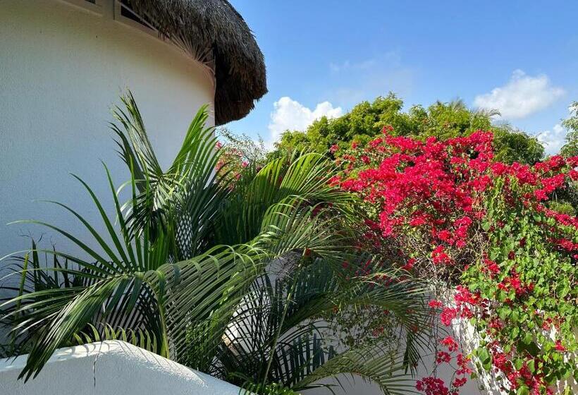 مبيت وإفطار Beachfront Paradise Boutique