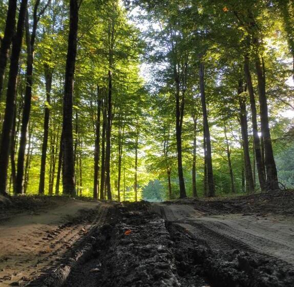 צימר Chalet Lago