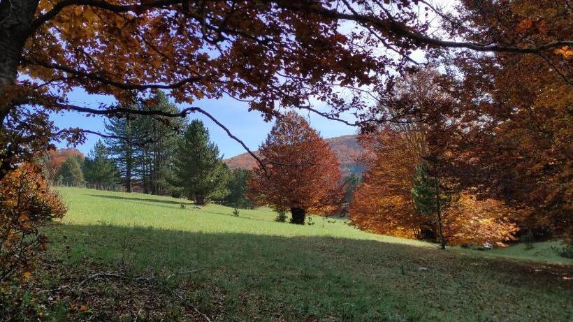 צימר Chalet Lago