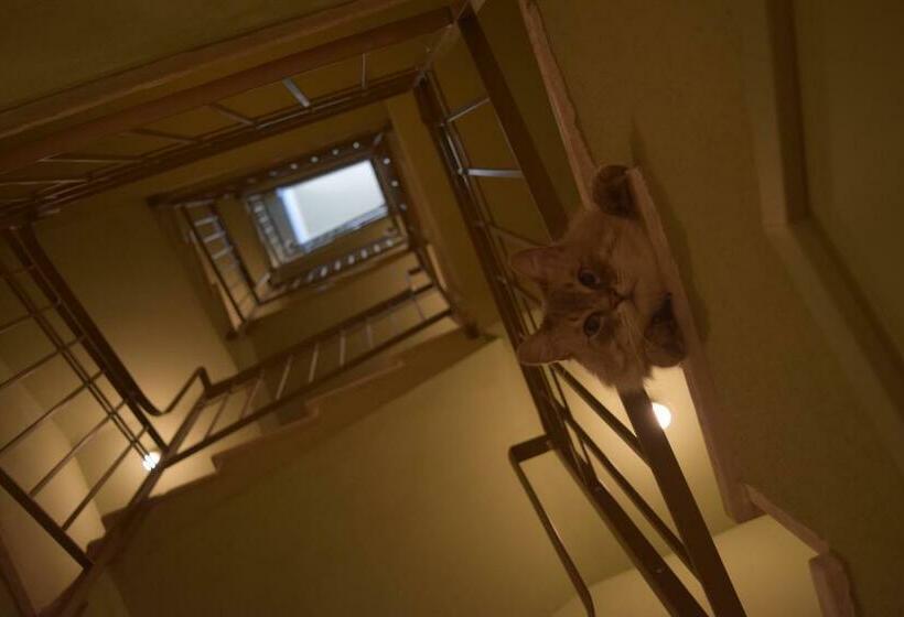 住宿加早餐  Le Rossi Bed