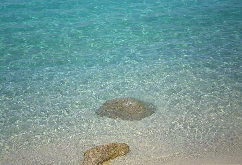 住宿加早餐  Rosy And Roby