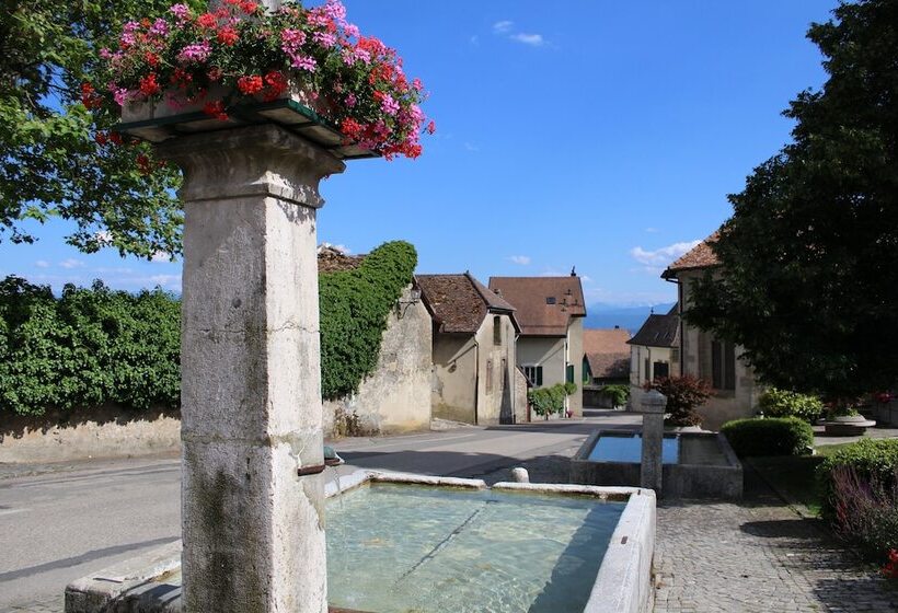 مبيت وإفطار Au Cœur Du Vignoble Sur Bursins