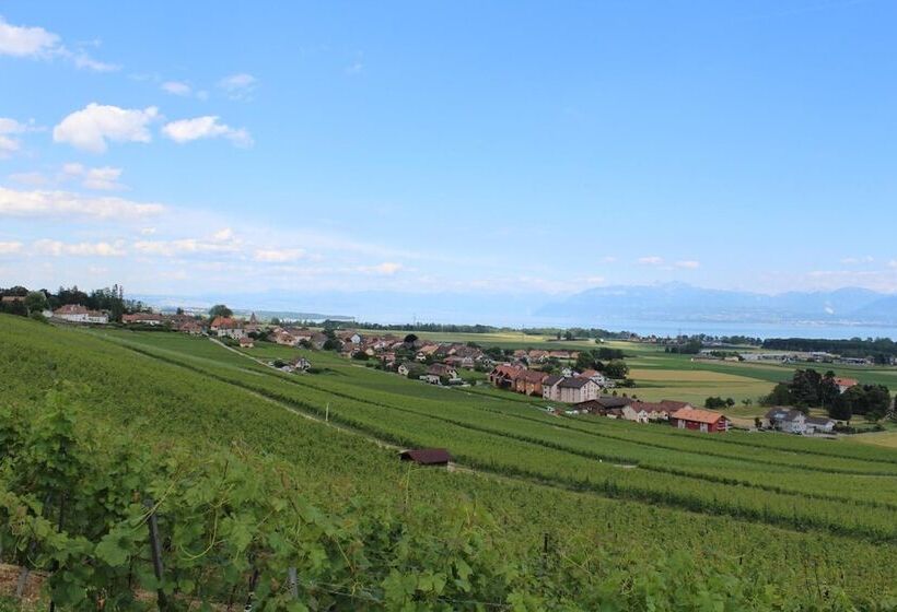 مبيت وإفطار Au Cœur Du Vignoble Sur Bursins