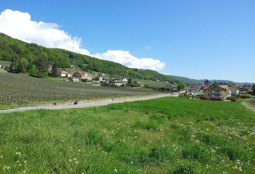مبيت وإفطار Au Cœur Du Vignoble Sur Bursins