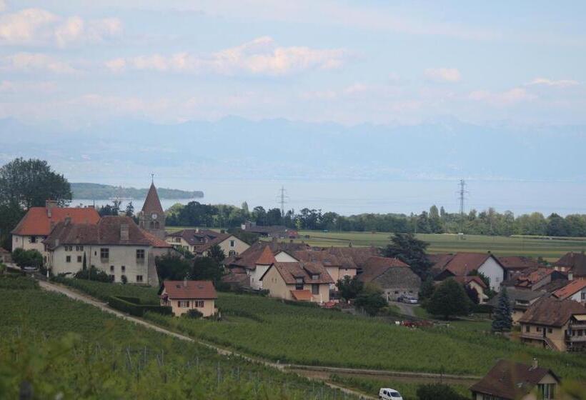 مبيت وإفطار Au Cœur Du Vignoble Sur Bursins