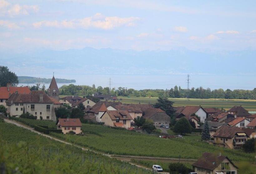مبيت وإفطار Au Cœur Du Vignoble Sur Bursins