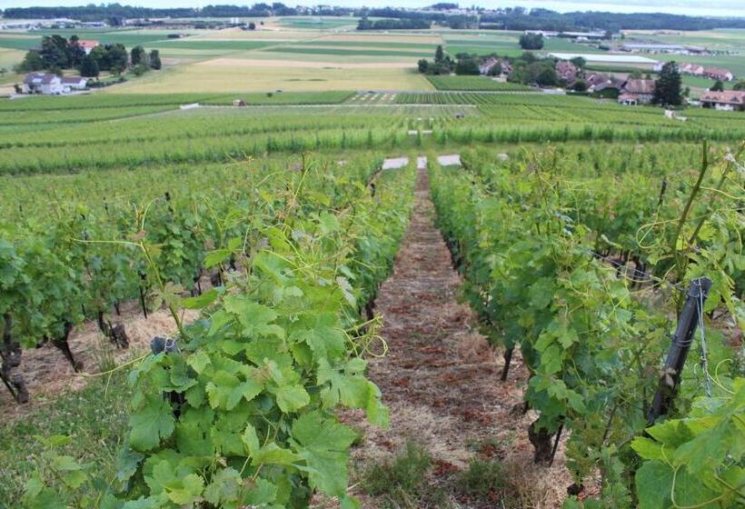 مبيت وإفطار Au Cœur Du Vignoble Sur Bursins