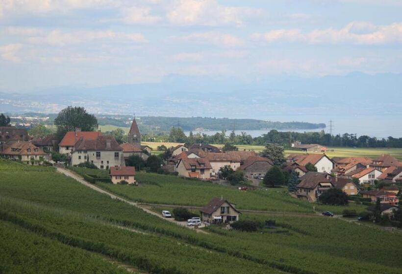 مبيت وإفطار Au Cœur Du Vignoble Sur Bursins