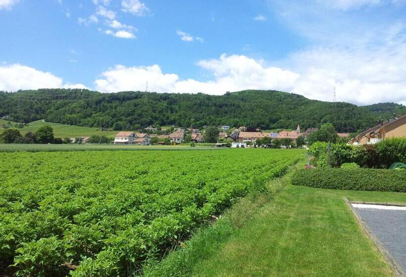 مبيت وإفطار Au Cœur Du Vignoble Sur Bursins