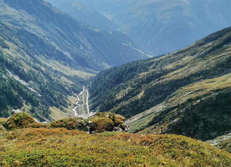 בית מלון כפרי Alpina