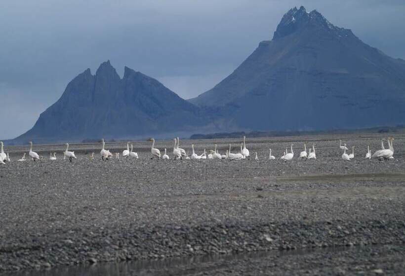 هتل Brekka í Lóní Farm Stay