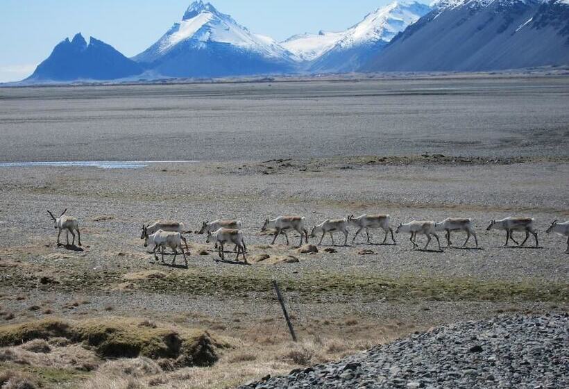 هتل Brekka í Lóní Farm Stay