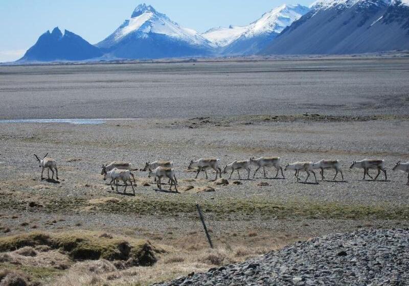 هتل Brekka í Lóní Farm Stay