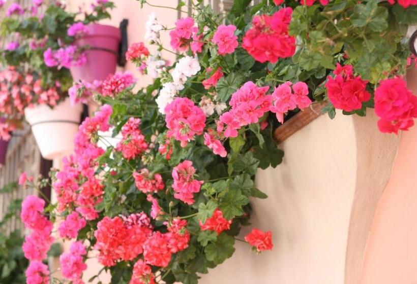 Отель El Pilar Andalucia