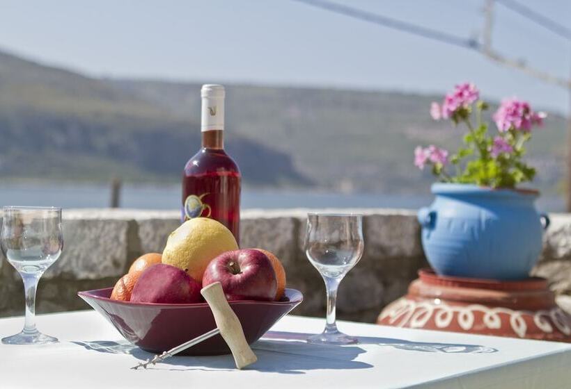 בית מלון כפרי Elixirion