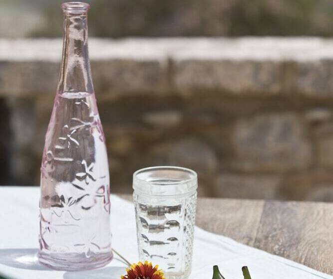 בית מלון כפרי Elixirion