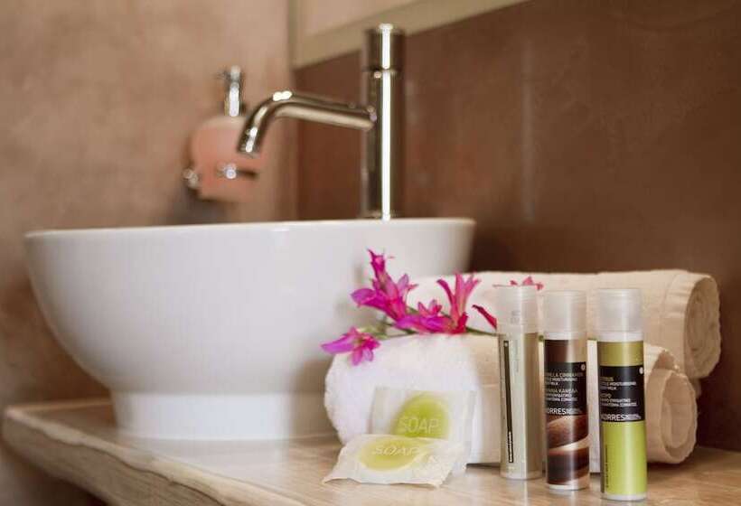 בית מלון כפרי Elixirion