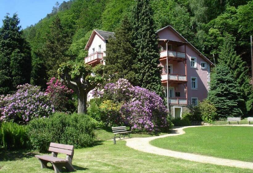 Bio Hotel Villa Waldfrieden