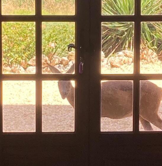 La Bastide Portoly B&b Pruneaux